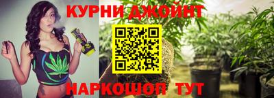 гидропоника Ставрополь