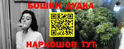 гидропоника Ставрополь